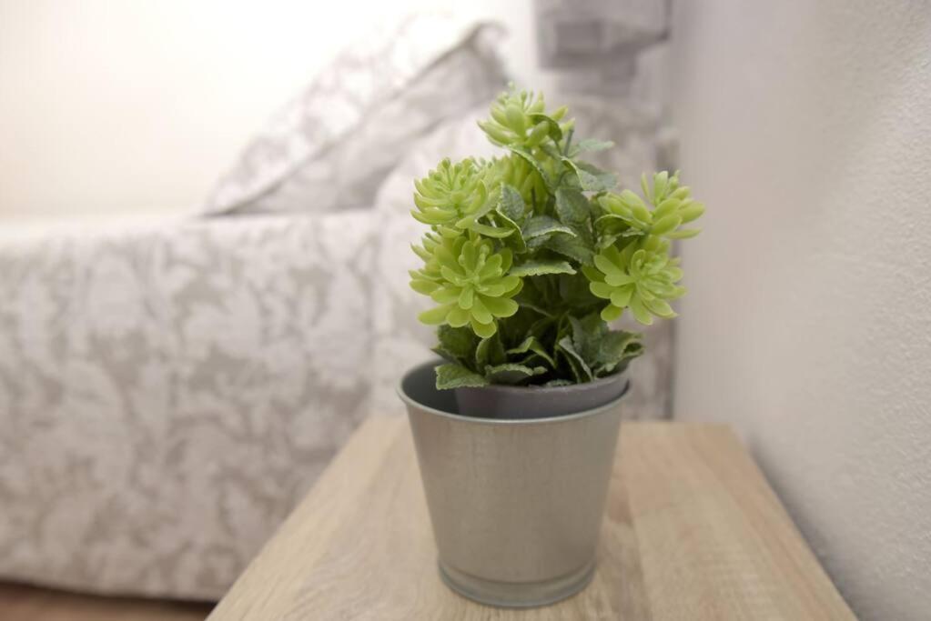 Apartamento Elena - Solo Familias Y Parejas 콘일데라프론테라 외부 사진